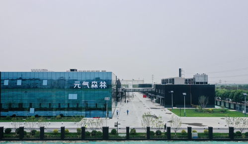 元?dú)馍痔旖蛭髑喙S投產(chǎn) 修煉內(nèi)功,賦能行業(yè)長遠(yuǎn)發(fā)展