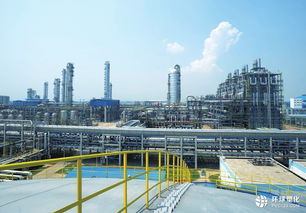 天津石化 小乙烯 大打 科技牌