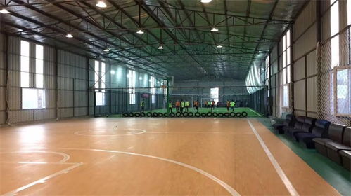 幼兒園人造草坪 天津長友科技 幼兒園人造草坪哪家好